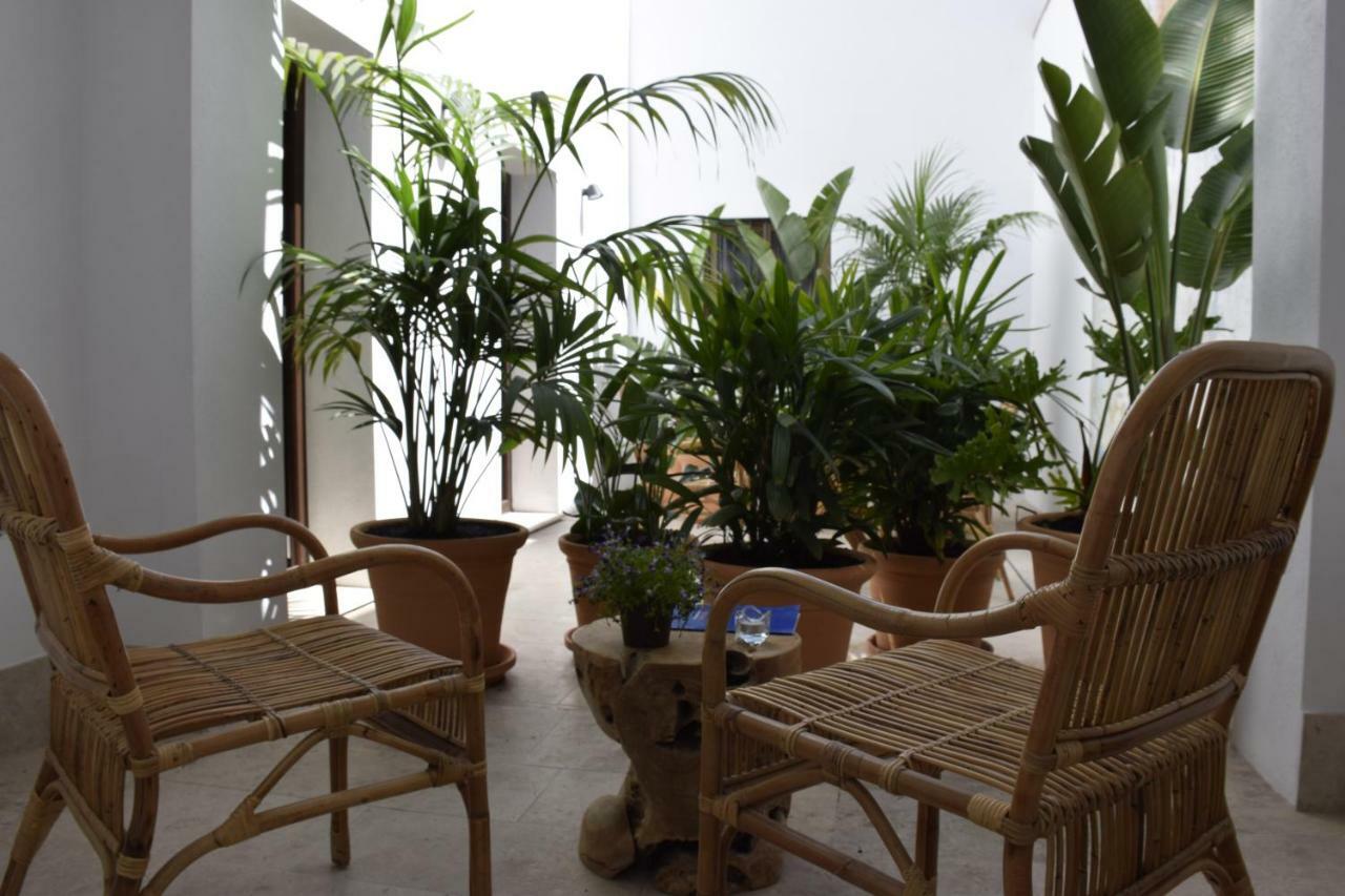 Chacon Apartments & Suites Εστεπόνα Εξωτερικό φωτογραφία